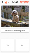 Dog Breeds - Quiz about all dogs of the world! screenshot 1