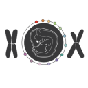Hox Zodiac