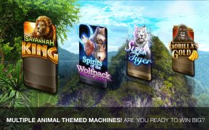 Wild Casino Slots screenshot 10