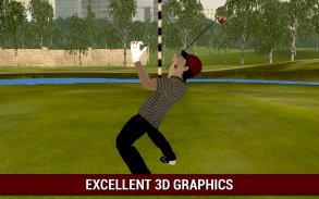 Professional Golf Lecture 3D screenshot 2