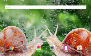 Rainy Live Wallpaper screenshot 7