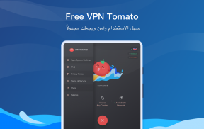 Tomato VPN | VPN Proxy screenshot 2