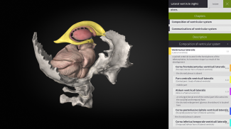 Anatomyka - 3D Anatomy Atlas screenshot 10