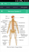 Nervous System Reference Guide screenshot 1