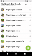 canto dos pássaros Nightingale - Appp.io screenshot 0