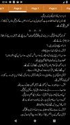 Mohabbat Zeest Ka Hasil by Reema Noor - Offline screenshot 5