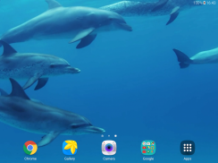 Дельфины Живые Обои screenshot 8