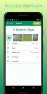 Bloomin' Algae screenshot 2