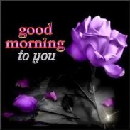 Good Morning images With Quotes screenshot 9