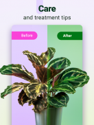 Plantum - 植物识别，叶子、花卉和树木护理 screenshot 14
