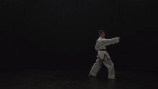 Taekwon-do Learning screenshot 0