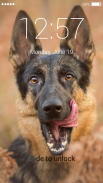 German Shepherd Dog Lock Screen screenshot 2