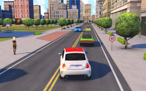 Driving School Fever screenshot 0