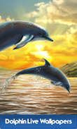 Dolphin Live Wallpapers screenshot 1