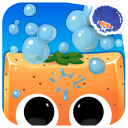 Splash Fruit Icon