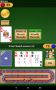 Cribbage Pro screenshot 4