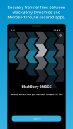 BlackBerry Enterprise BRIDGE screenshot 2