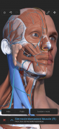 Visual Anatomy 3D screenshot 7