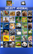 Mix Aminals. Animal morphing screenshot 5