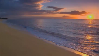 Sunset Beach Live Wallpaper screenshot 4