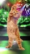 Dancing and Singing Funny Pets. Funny animals screenshot 1