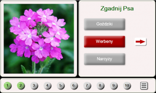 Zgadnij Kwiat: Puzzle screenshot 7