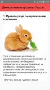 Декоративные кролики. Уход и содержание screenshot 3