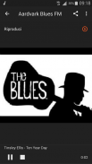 Blues music radio screenshot 2