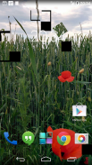 Squares Live Wallpaper screenshot 5