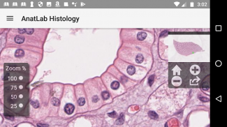 AnatLab Histology screenshot 4