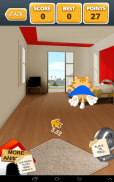 Crazy Cats screenshot 5