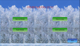 700 Stereograms Quiz screenshot 4