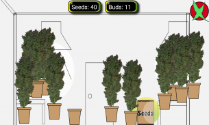 Blitzed Bingo - Free Marijuana screenshot 2