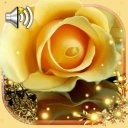 Roses Gallery live wallpaper Icon