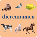 Animals names in Dutch