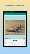 InsectID - Identifier insectes screenshot 6