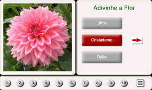 Acho que o Flor: Telha de Quebra-Cabeça screenshot 8
