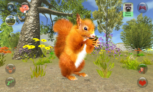 Talking Squirrel screenshot 2