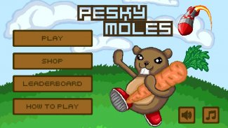 Pesky Moles screenshot 1