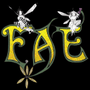 FAE Magazine Icon