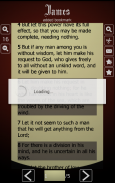 Bible Offline in Basic English screenshot 4