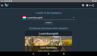 Luxembourgish Language Tests screenshot 6