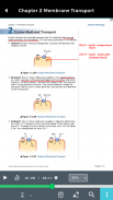 Becker USMLE GuideMD and QMD screenshot 6