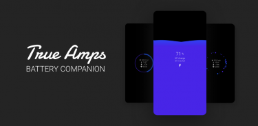 True Amps: Battery Companion screenshot 3