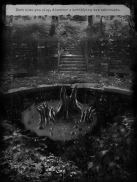 Shadow House screenshot 9