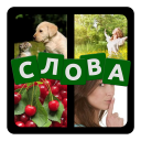 4 фото 1 слово на русском 2023 Icon