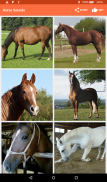 Horse Sounds screenshot 2