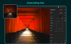 Adobe Lightroom - Photo Editor & Pro Camera screenshot 7