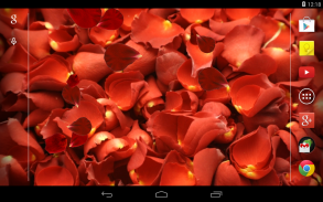 Rose petals Live Wallpaper screenshot 1