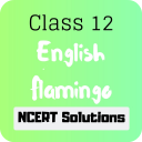 Class 12 English Flamingo NCERT Solutions